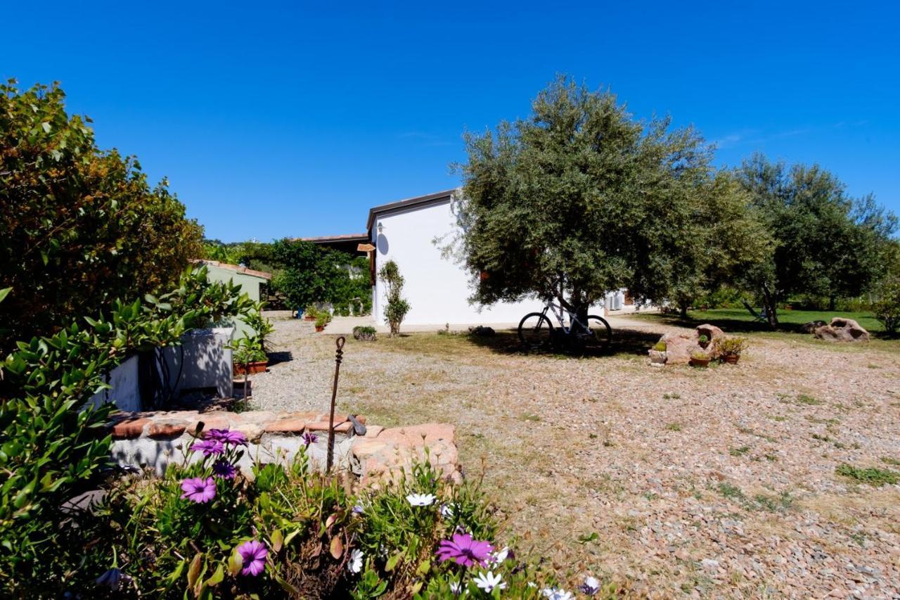 Villa Casa Museddu à Cardedu Extérieur photo