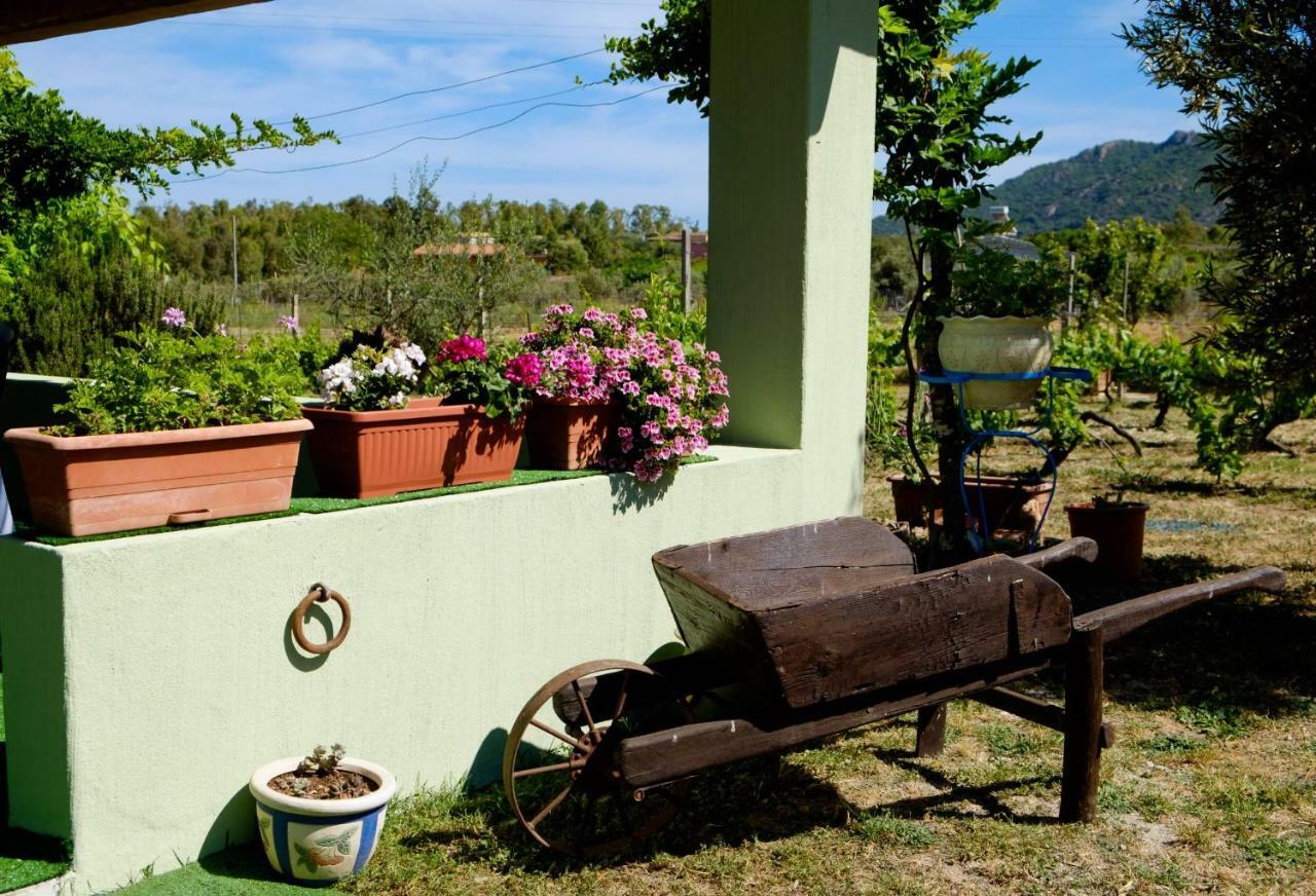 Villa Casa Museddu à Cardedu Extérieur photo
